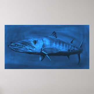 WALL SIZED—HÖGRE SIzed Blue Barracuda Poster