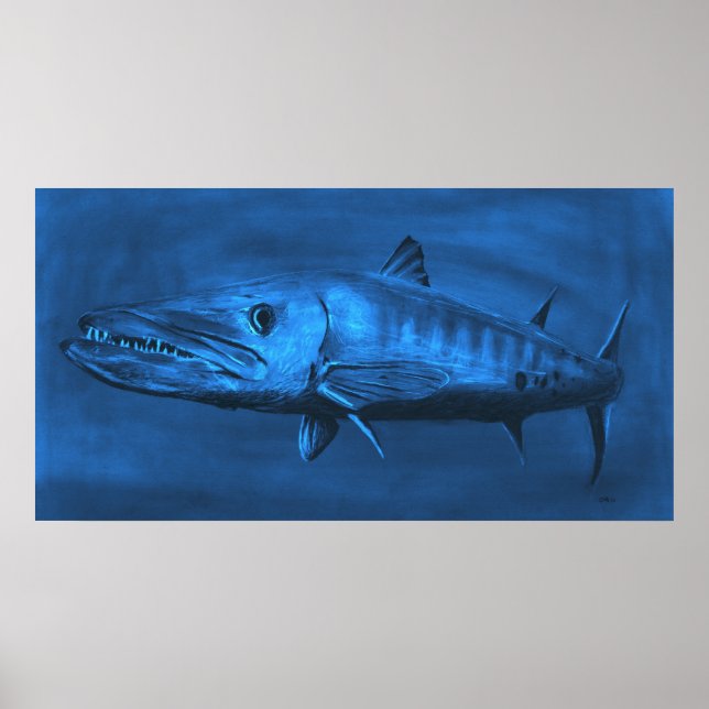 WALL SIZED—HÖGRE SIzed Blue Barracuda Poster (Framsidan)