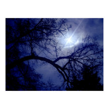 Wall Storlek Träd Silhouette Poster