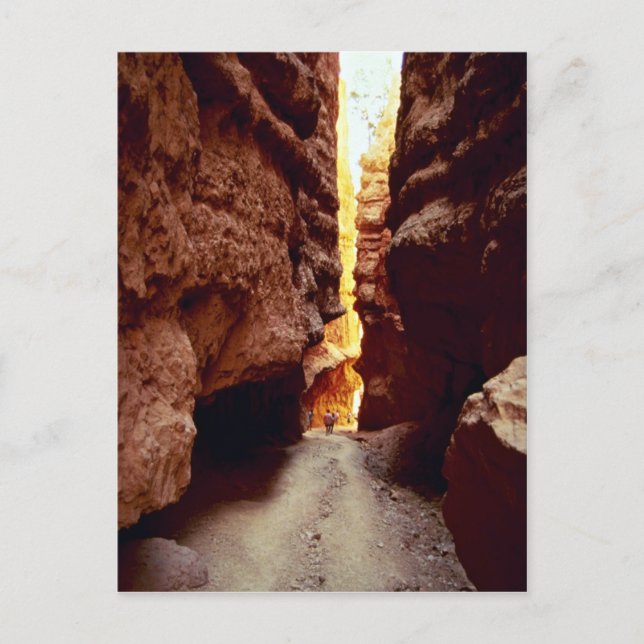 wall street, Bryce nationalpark, Utah sten-format Vykort (Framsida)