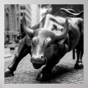 Wall street Bull Black and White Photography Poster