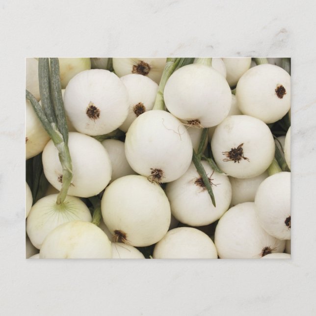 Walla Walla Sweet Onions Vykort (Framsida)