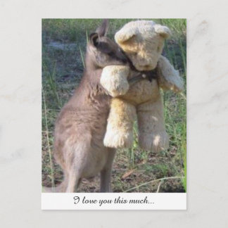 Wallaby hugger tedybjörnvykort kärlek du vykort