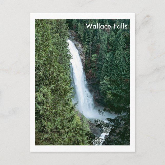 Wallace Falls Vykort (Framsida)