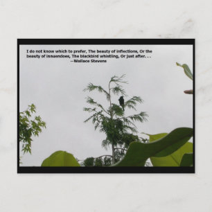 Wallace Stevens Quote Vykort