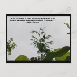 Wallace Stevens Quote Vykort