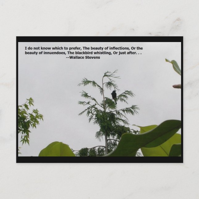 Wallace Stevens Quote Vykort (Framsida)