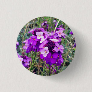 WallblomBowles Mauve #1 Button Knapp