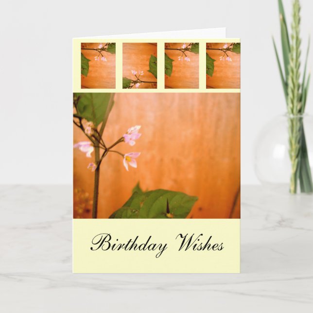 Wallblomma Kort (Framsida)