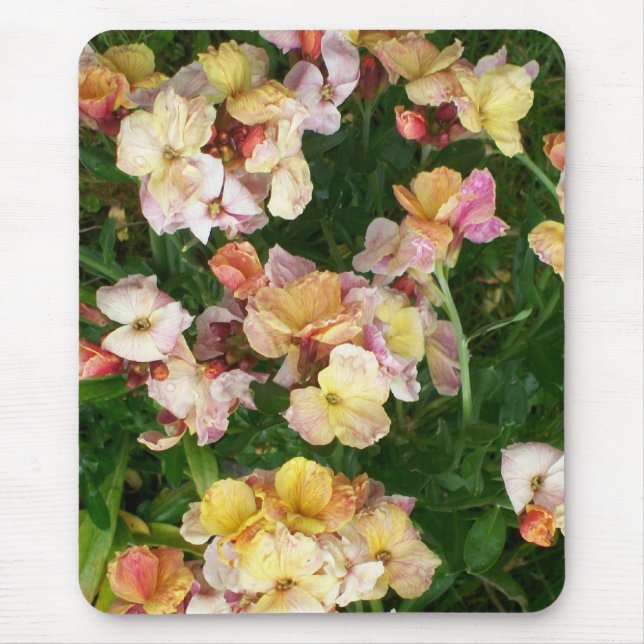 Wallblommor Mousepad Musmatta (Framsidan)