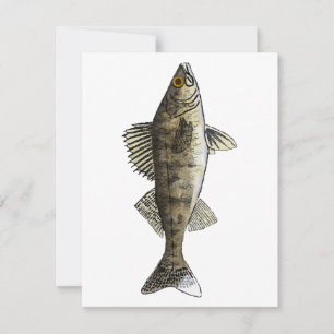 Walleye Anteckningskort