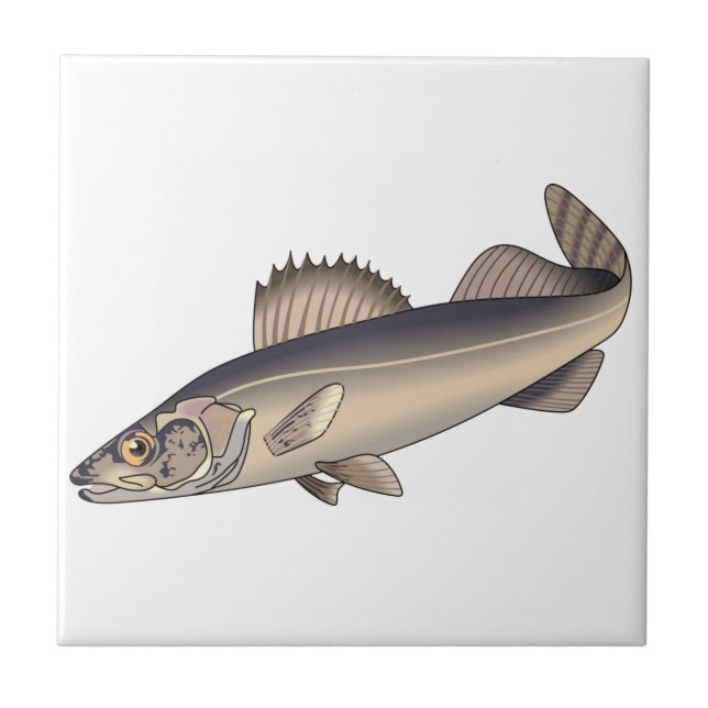Walleye Fish Kakelplatta (Framsidan)
