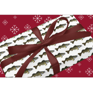 Walleye Fishing Coola Sports Manar Fish Presentpapper