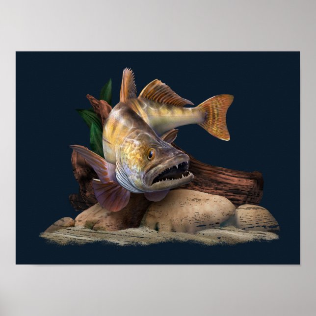 Walleye Fishing Illustration, Walleye Fisherman Poster (Framsidan)