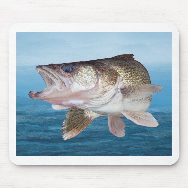 Walleye Fishing Musmatta (Framsidan)