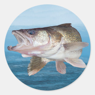 Walleye Fishing Runt Klistermärke