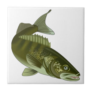 Walleye Kakelplatta