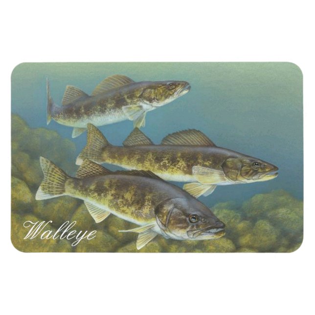 Walleye Painting Magnet (Horisontell)