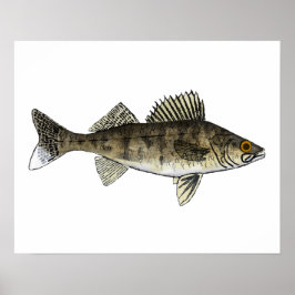 Walleye Poster