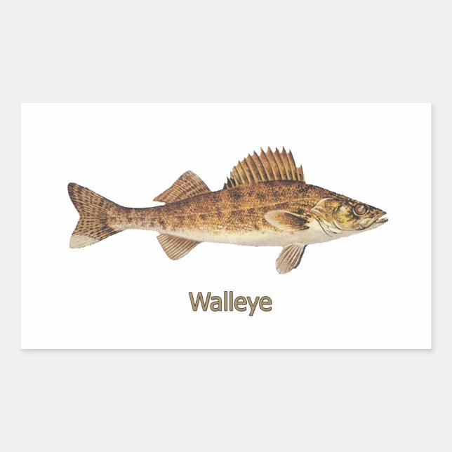 Walleye (Underbara Sjöar) Rektangulärt Klistermärke (Framsida)