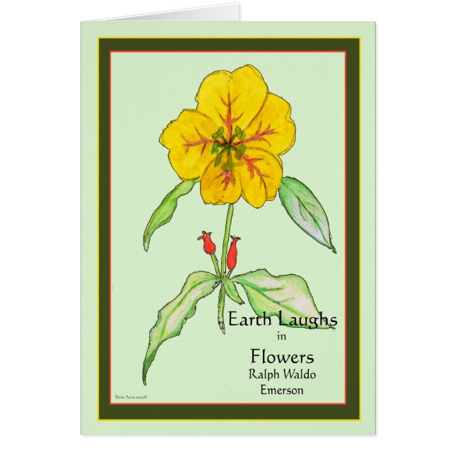 Wallflower Hälsningskort (Framsidan)