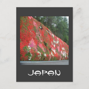 wallofcolor, Japan Vykort
