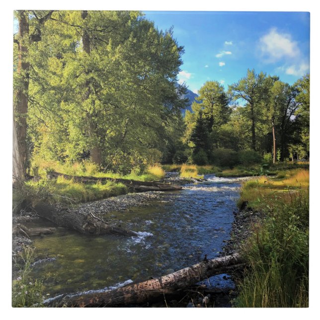 Wallowa Lake State Park, OR Kakelplatta (Framsidan)