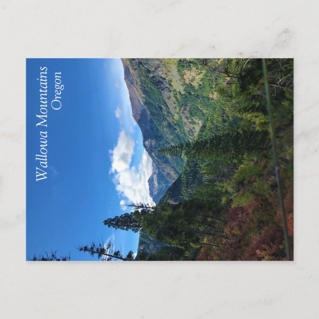 Wallowa Mountains, ELLER Vykort (Framsida)