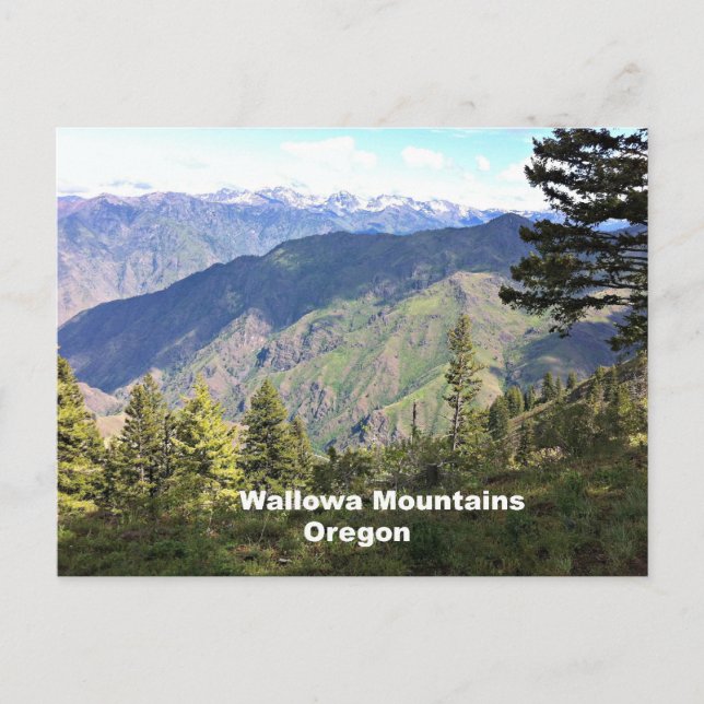Wallowa Mountains, Oregon Vykort (Framsida)