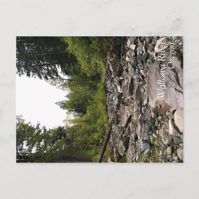 Wallowa River, OR Vykort (Framsida)