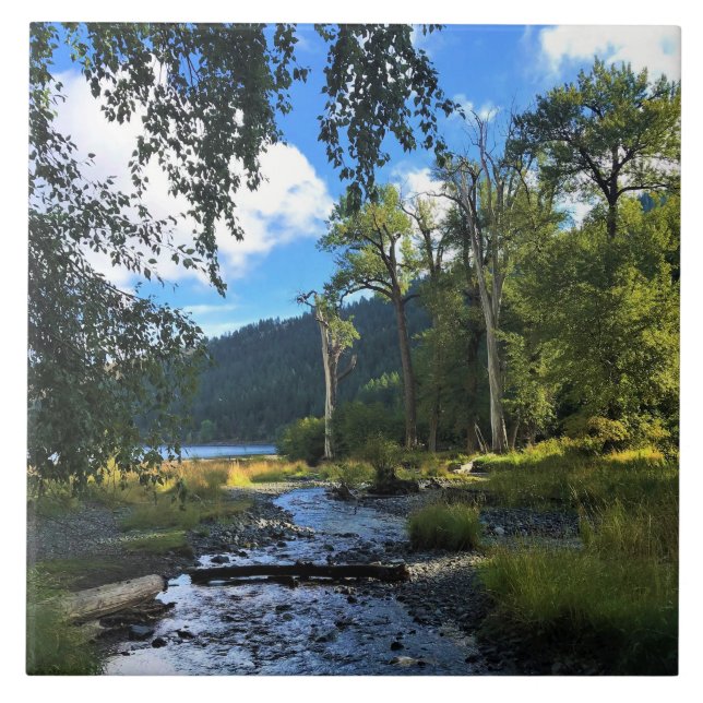 Wallowa Sjö State Park, ELLER Kakelplatta (Framsidan)
