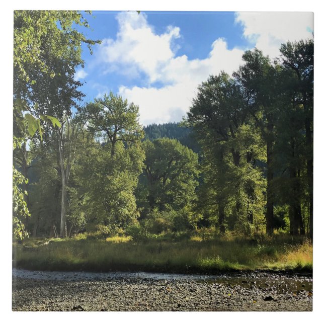 Wallowa Sjö State Park, ELLER Kakelplatta (Framsidan)