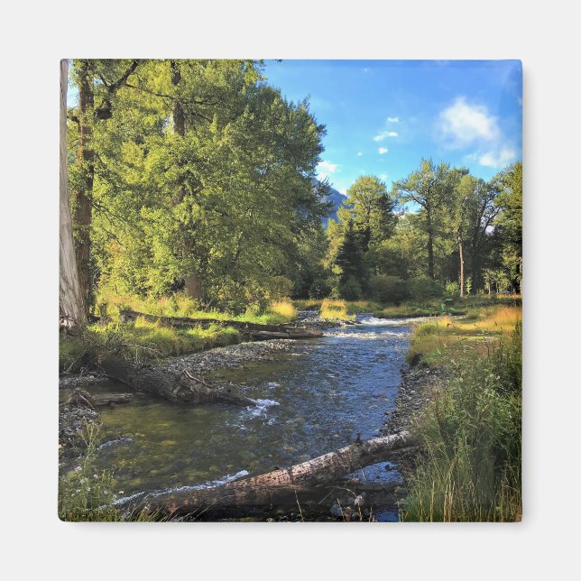 Wallowa Sjö State Park, ELLER Magnet (Framsidan)