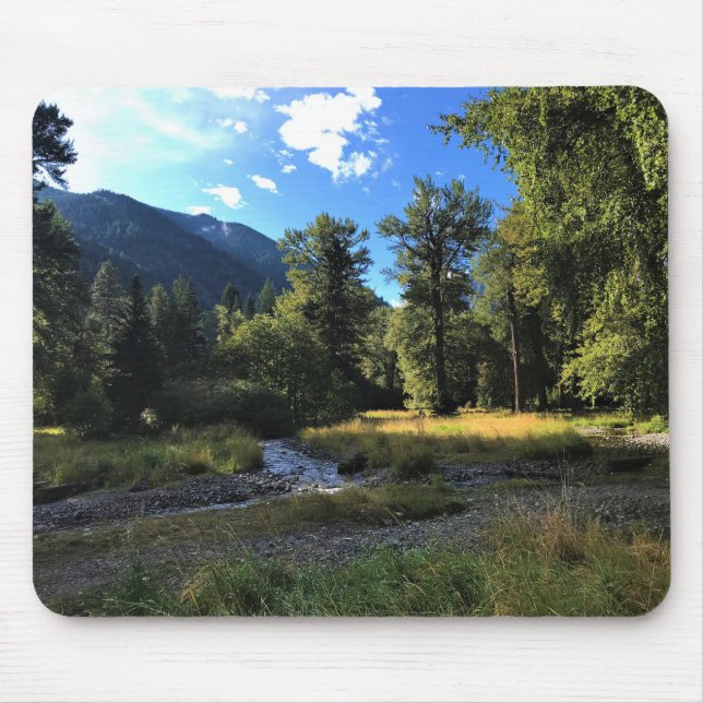 Wallowa Sjö State Park, ELLER Musmatta (Framsidan)