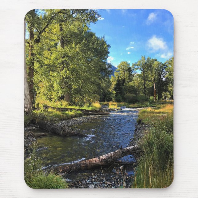 Wallowa Sjö State Park, ELLER Musmatta (Framsidan)
