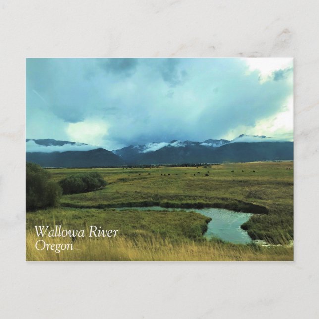 Wallowafloden, Oregon Vykort (Framsida)