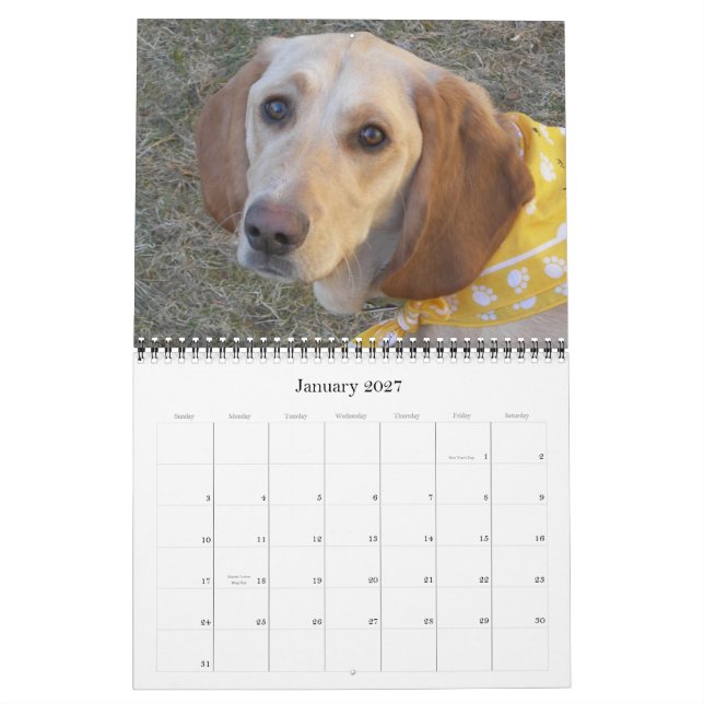 Wally den undra hunden 2009 kalender (Jan 2027)