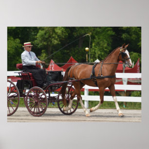 Walnut Backe Carriage Horse Show Poster