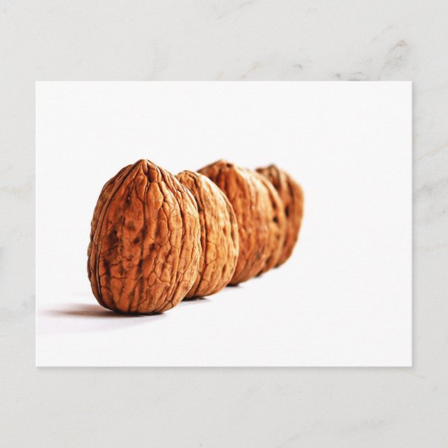 Walnut Photo on White Vykort (Framsida)