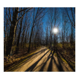 Walnut Skogen Metro Park, Groveport, Ohio Fototryck