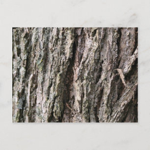 Walnut träd bark vykort