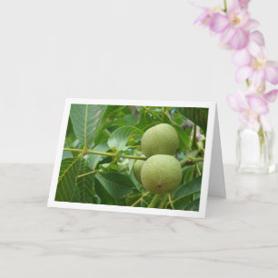 Walnut Träd Porträtt-kort Kort