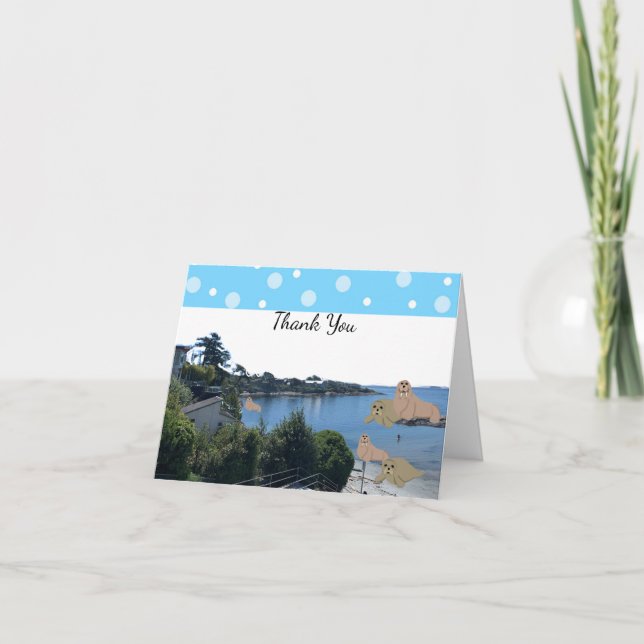 Walrus an Sea Lejon Tack (Framsida)