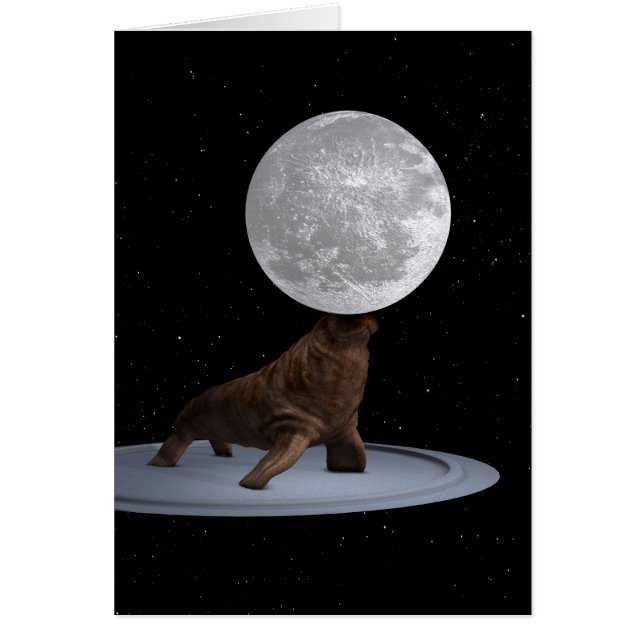 Walrus Balancing Måne Hälsningskort (Framsidan)