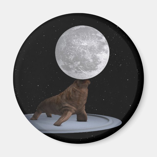Walrus Balancing Måne Magnet (Framsidan)