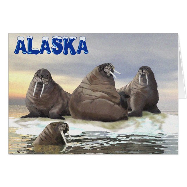 Walrus - Fyra bröder Hälsningskort (Framsidan Horizontal)