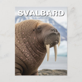 Walrus i Svalbard-Norgen Vykort