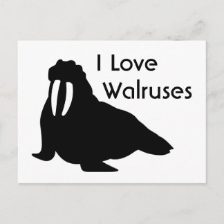 Walrus Kärlek vykort