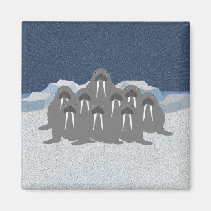 Walrus Magnet
