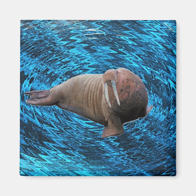 Walrus magnet (Framsidan)